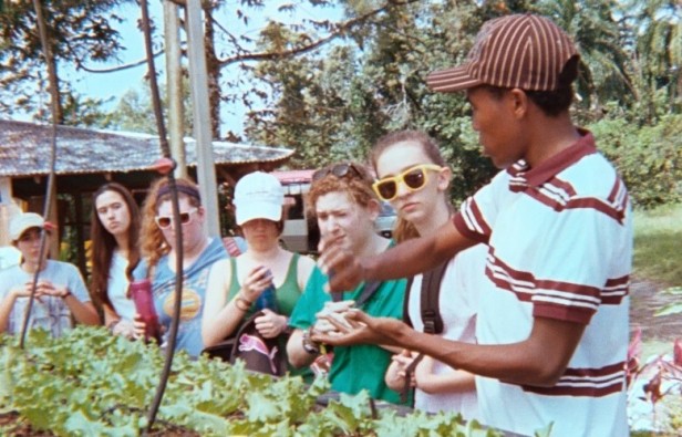 Students on the Manos Unidas club spring break trip to Costa Rica learn about the areas vegetation from locals. The students on the trip engaged in community service activities and excursions to learn about Costa Rica and its culture. Photo courtesy Julia Dionne.