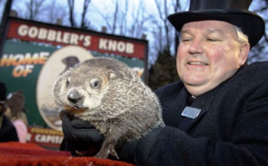 Groundhog Phil saw his shadow, meaning six more weeks of winter – The