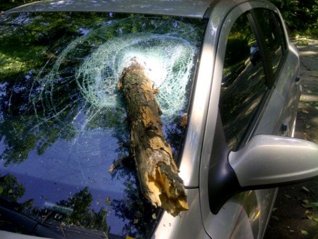 A thick tree branch crashed into the windshield of senior Hannah Stahls car during the Hurricane. Fallen trees also caused extensive damage in the area by knocking down power lines. Photo by Hannah Stahl.