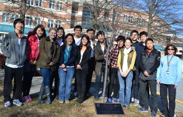 South Korean exchange students visit a special tree that commerates the sister school relationship between Seoul HS and Whitman. The students are here until Friday. Photo by Abigail Cutler.