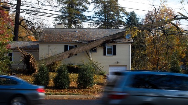 A tree fell on a house on the corner Massachusets Avenue and Cromwell Drive. Despite this incident, most damage was minor. Photo by Billy Bird.