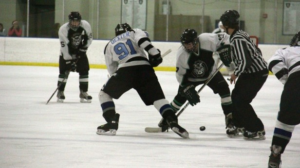 Forward Andy Dexter positions himself to steal the puck from a Wildcat. The vikes ended their playoff run with a 4-0 loss. Photo by Paula Ospina. 