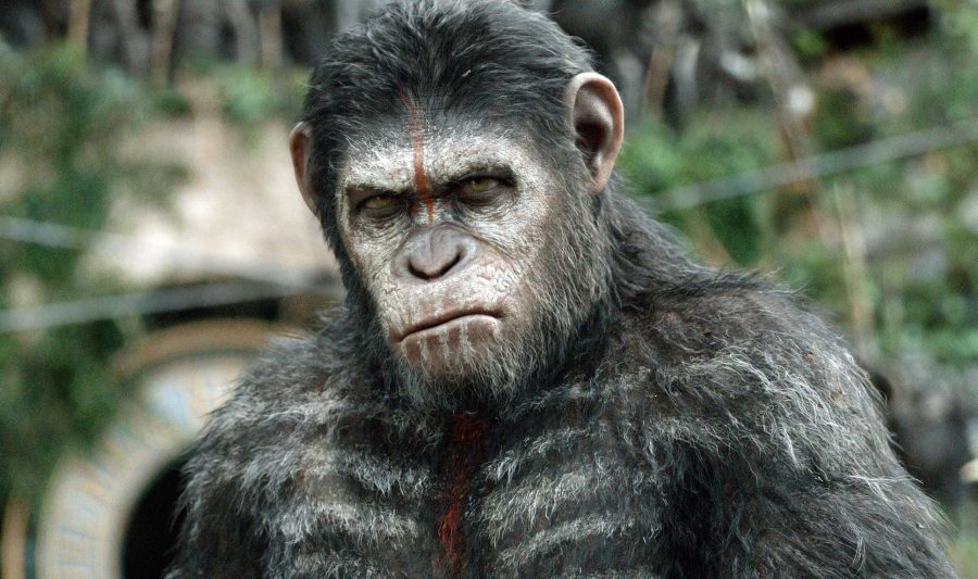 This image released by 20th Century Fox shows Caesar, performed by Andy Serkis, in a scene from Dawn of the Planet of the Apes. (AP Photo/20th Century Fox, David James)