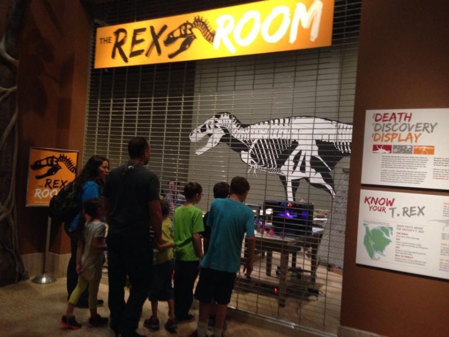 The National Museum of Natural Historys Rex Room, along with a temporary exhibit depicting the dinosaur world immediately before extinction, are still open through the renovation of the main Fossil Hall. Photo by Rose Pagano.