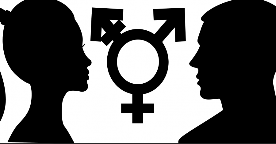 Gender-neutral pronouns: the next step for today’s progressive world