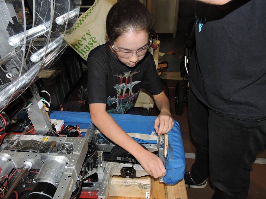 Junior Laura de Ravin attaches blue bumpers to protect the robot during the match. Photo courtesy Natalie Cohn