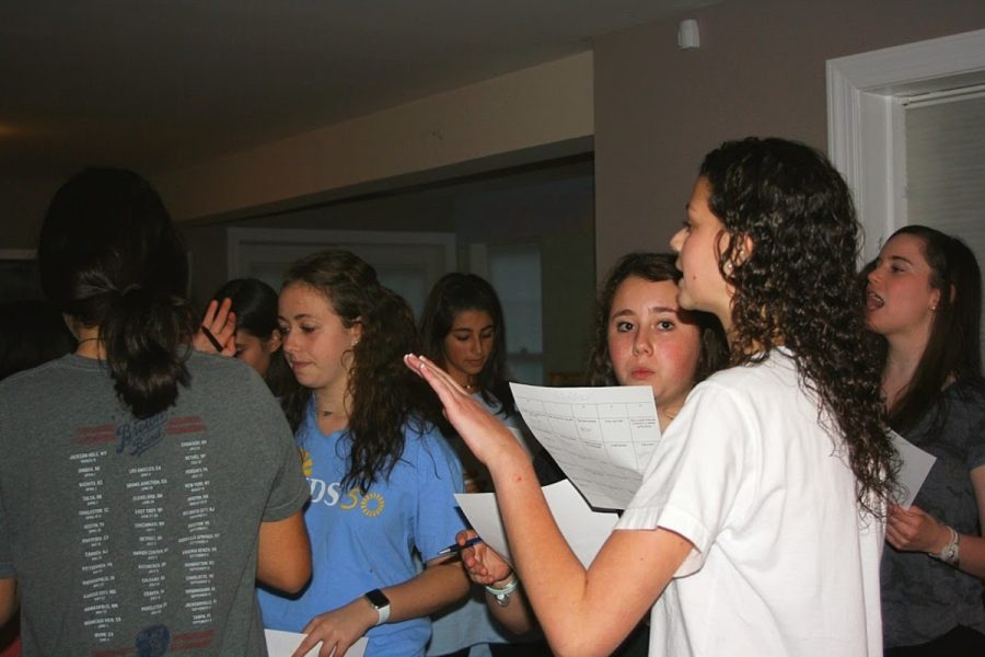 BBYO+members+convence+at+a+chapter+meeting.+BBYO+is+a+Jewish+youth+group+that+fosters+relationships+in+a+fun%2C+inclusive+environment.+Photo+courtesy+Frannie+Cohen-Dumani.