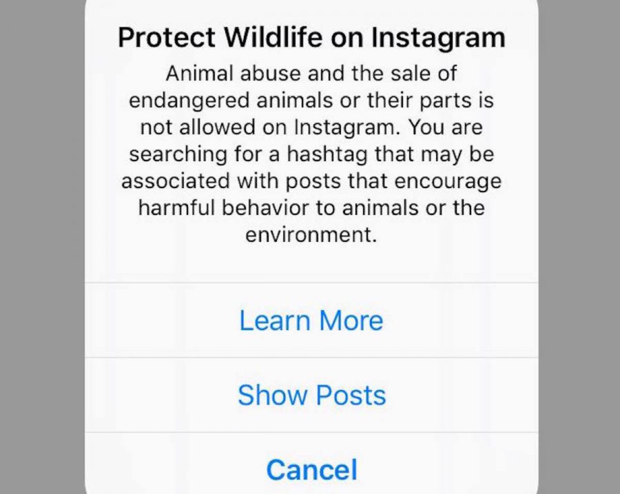 Instagram adds animal abuse warnings on selfies with animals