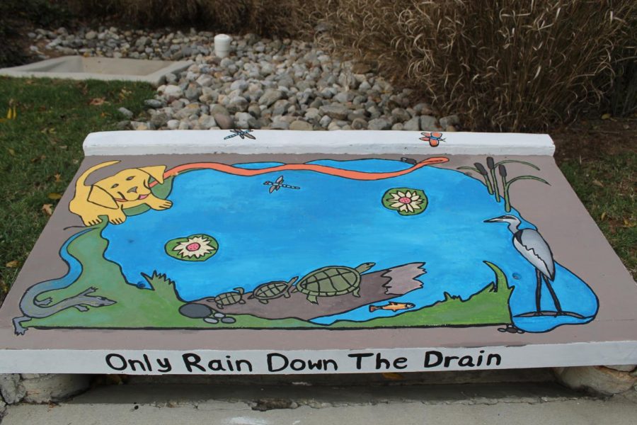 A previous storm drain art contest winner reminds individuals to be mindful about what goes down the drain. The contest has been going on for multiple years and features a variety of categories that contestants can choose to enter. Photo courtesy Montgomery County Department of Environmental Protection.