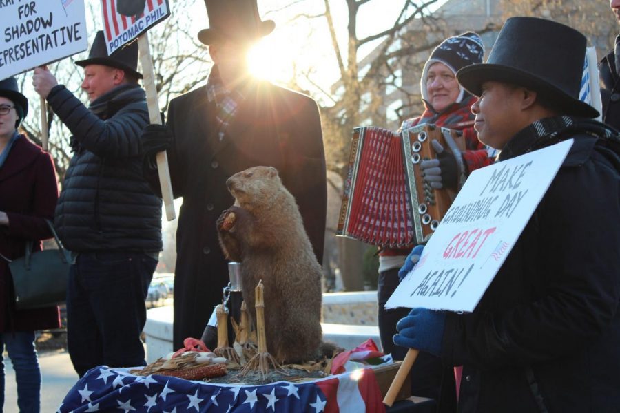 Beyond a shadow of a doubt: Groundhog Day festival draws D.C. residents