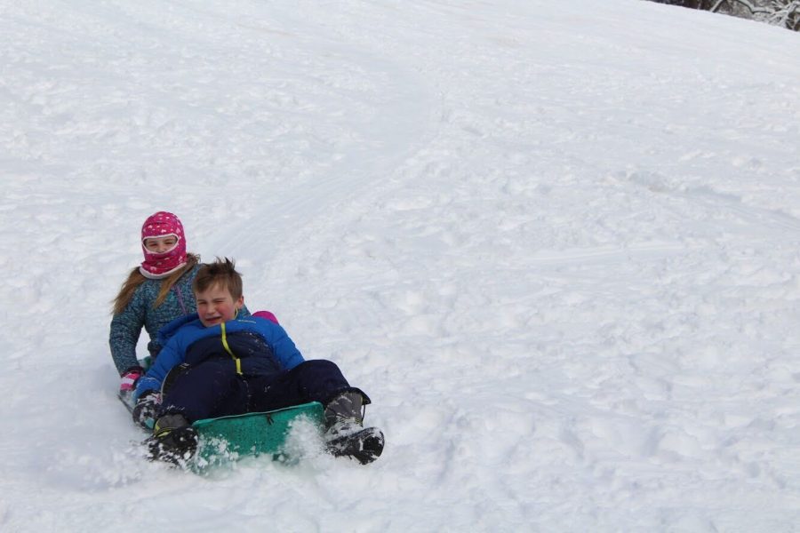 With three snow days so far this year, I set out to find the best sledding slopes in the area.