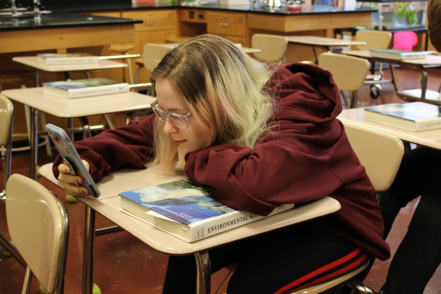 Junior Gwen Arbetman sits in her 3rd period APES classroom. Unlike in many classes, students in AP Environmental Science use textbooks fairly often to complete assignments. 