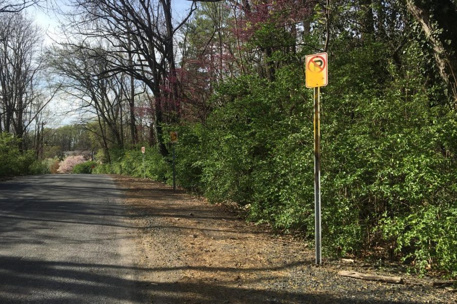 The Montgomery County Department of Transportation recently installed “no parking” signs on the left side of Pyle Road by the back entrance to Whitman, effectively cutting the number of available parking spots by the baseball field in half. 