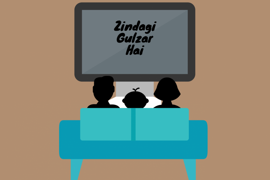 One of my favorite Pakistani TV shows, Zindagi Gulzar Hai, is a class-conscious drama which taught me many Pakistani cultural elements. 